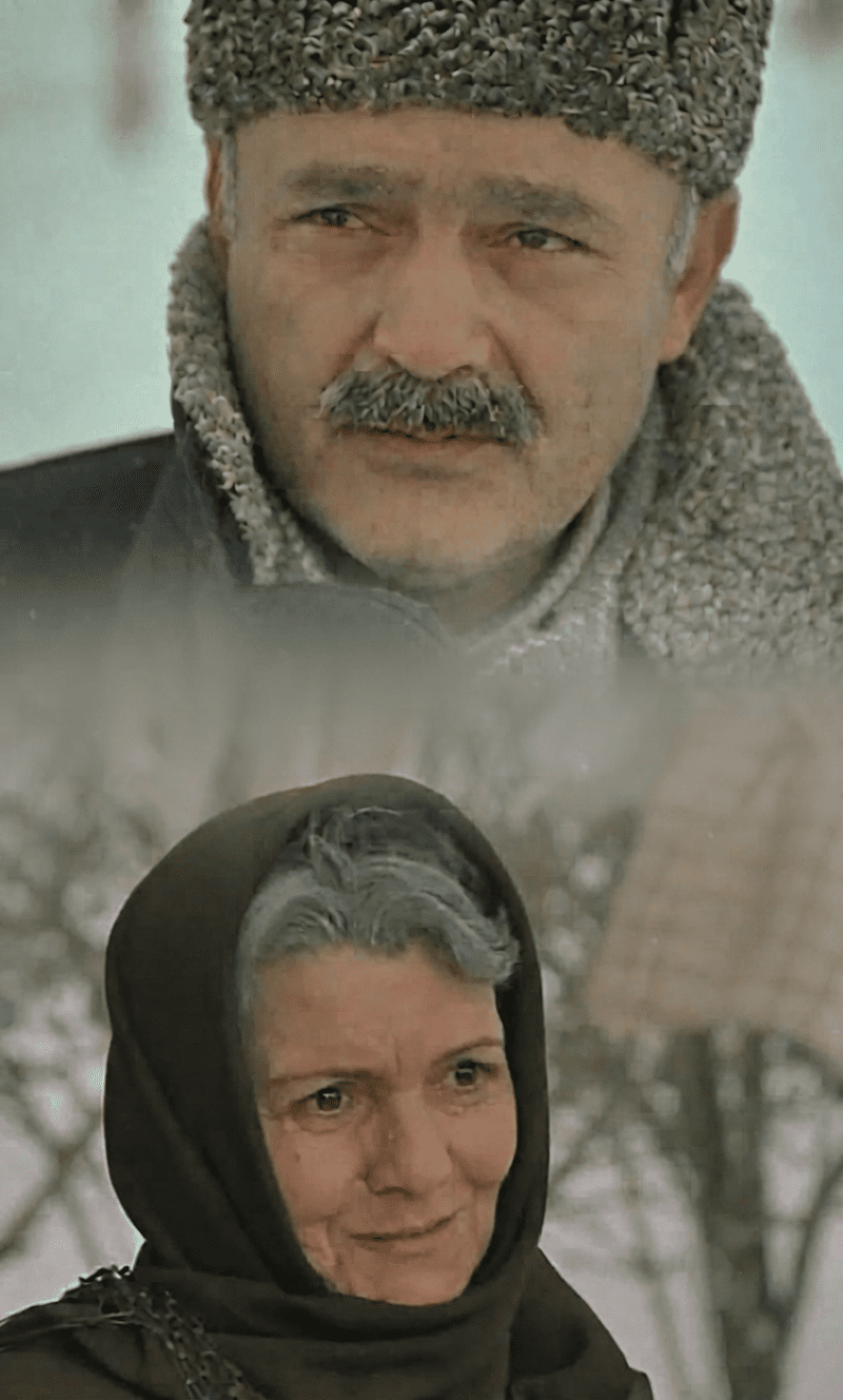İlıq dənizdə buz parçası (1983)
