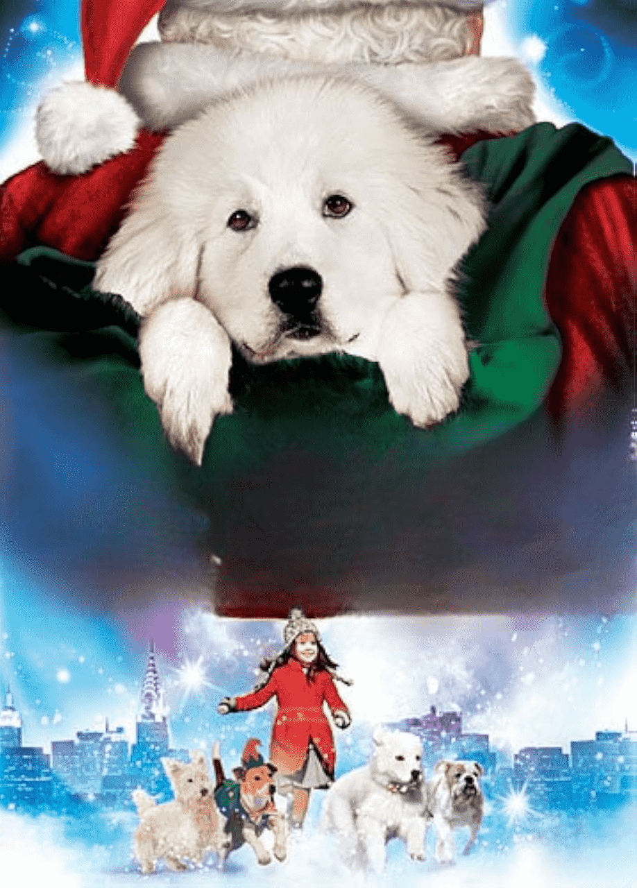 Santa Lapusun axtarışında (2010)