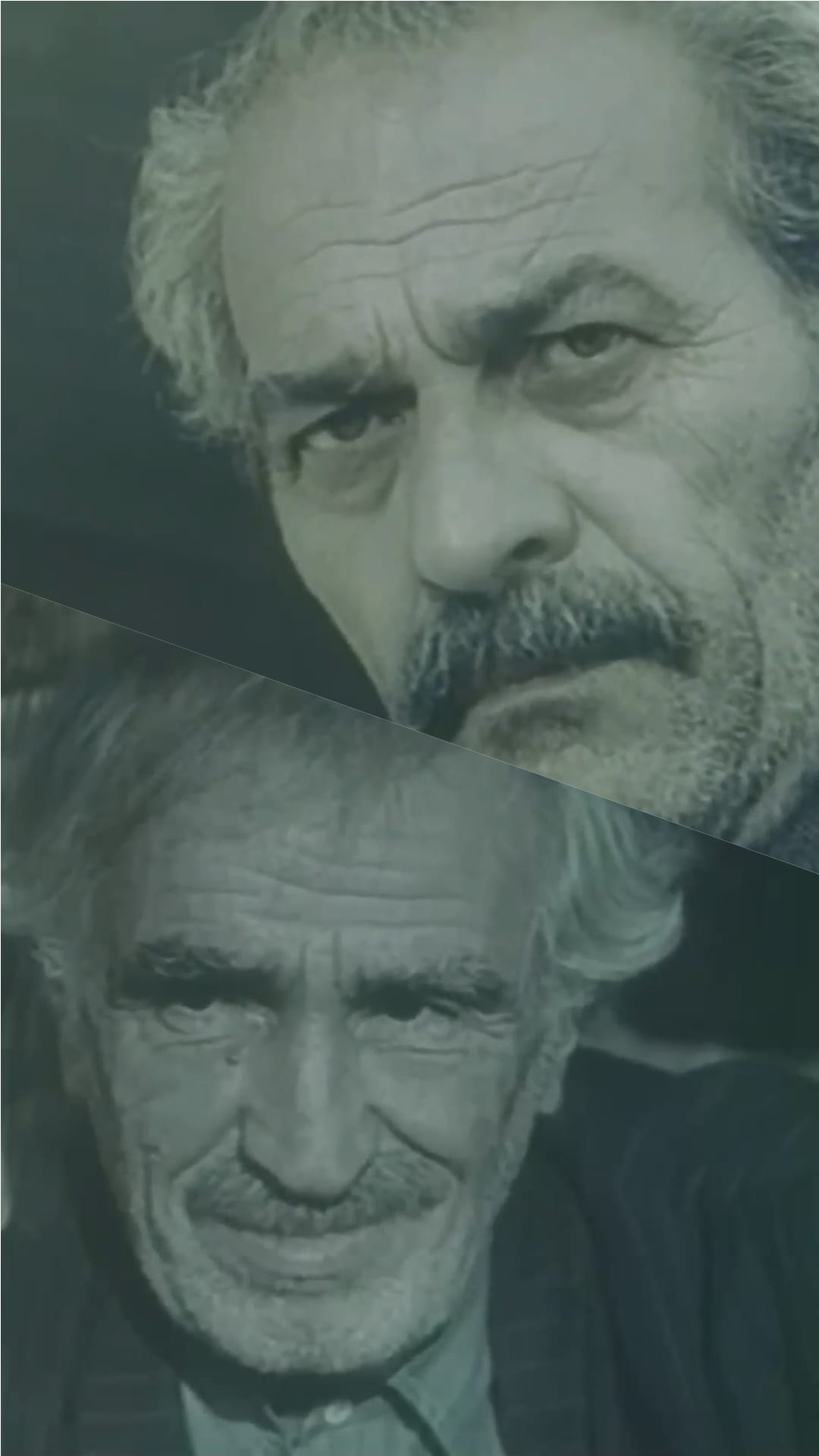 Qocalar, qocalar... (1982)