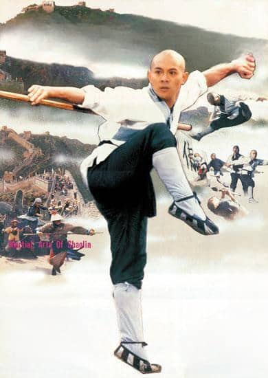 Şaolin məbədi 3 (1986)