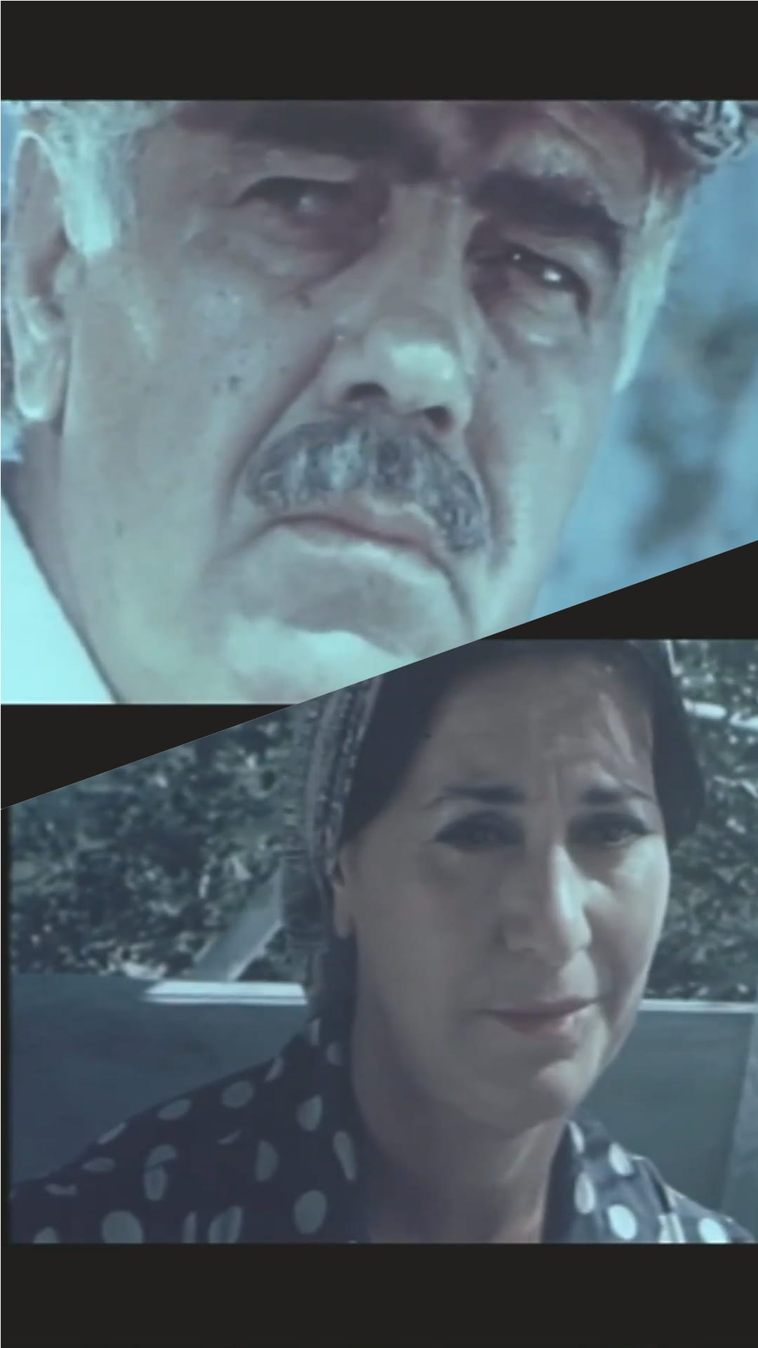 Bağ mövsümü (1985)