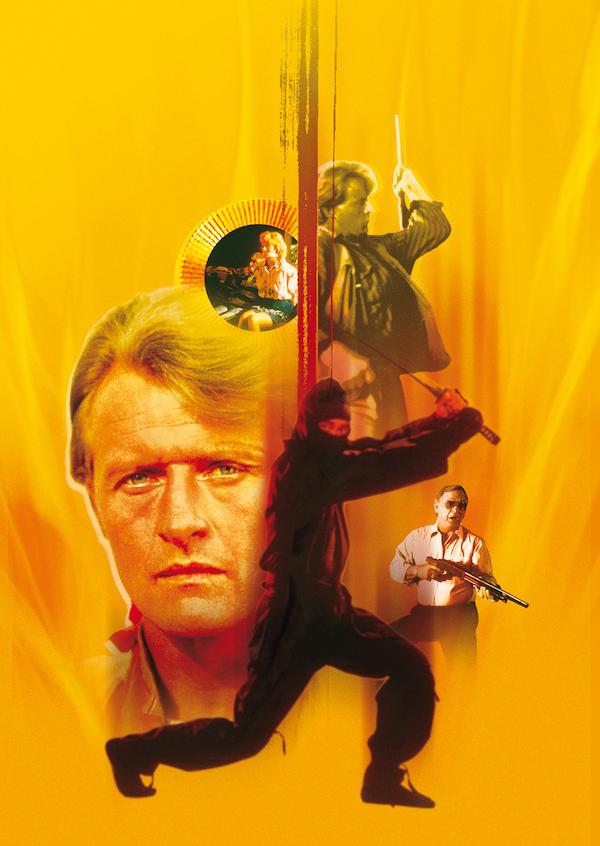 Dəhşətli qəzəb (1989)